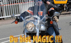 P!ELmedia Poster – Magic Bike Rüdesheim 2012