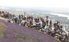 Geführte Ausfahrt durch den Rheingau-Taunus – Magic Bike Rüdesheim 2014